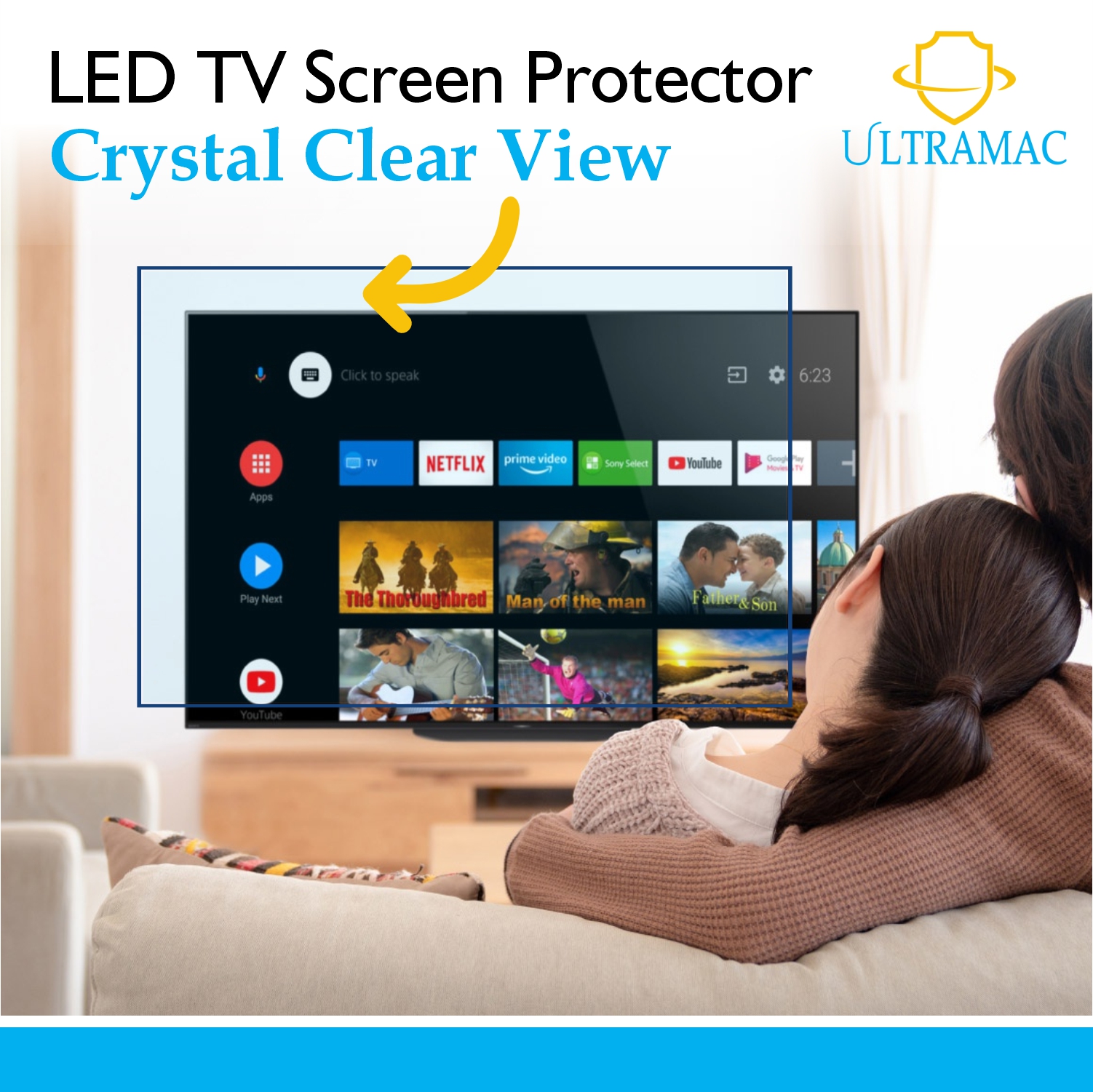 TV Screen guard